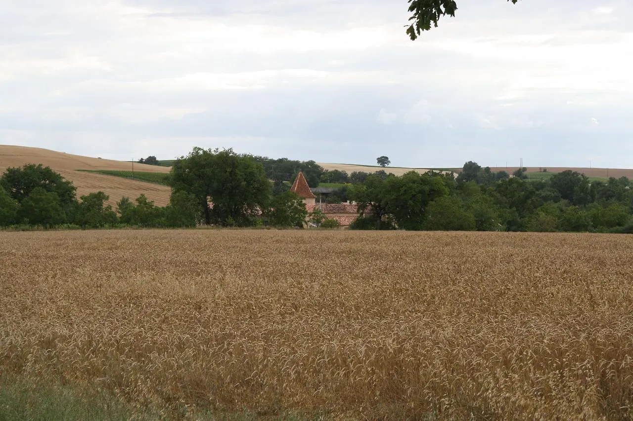 ***  לינה וארוחת בוקר Saint-Puy La Dame De Courties צרפת